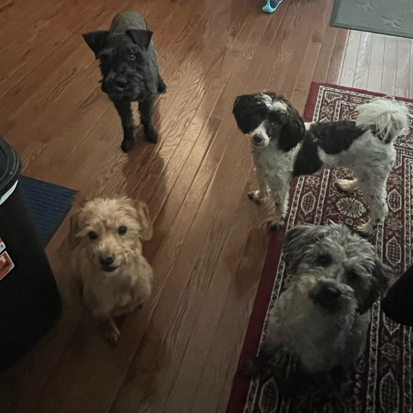 ⚓️Meet your posher, Amy ⚓️ - Picture 6 of 14